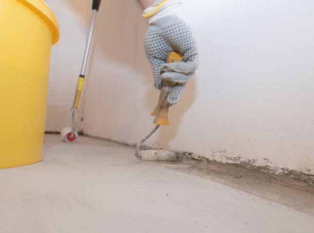 Best Fumigation Services  in Reinholds, PA